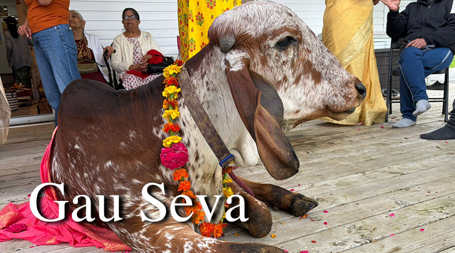 Gau-Seva